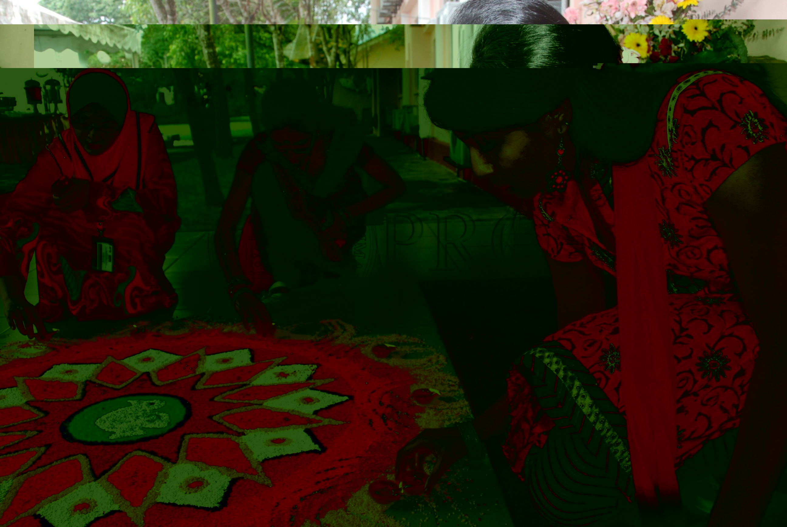 PRO 12 136 food DSC 9182